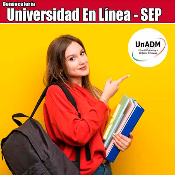 Universidad en línea