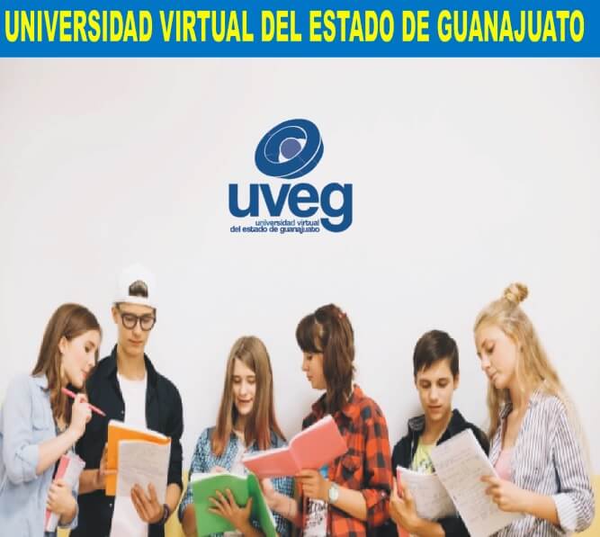 Universidad Virtual Del Estado De Guanajuato Comunidad Cdmx