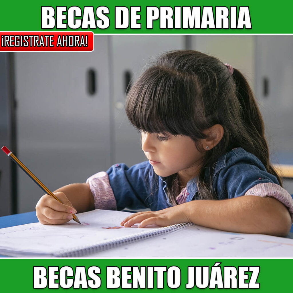 Beca de Educación Básica