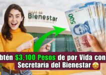 Cómo Obtener $3100 Pesos de por Vida con la Secretaría del Bienestar: Requisitos y Procedimiento